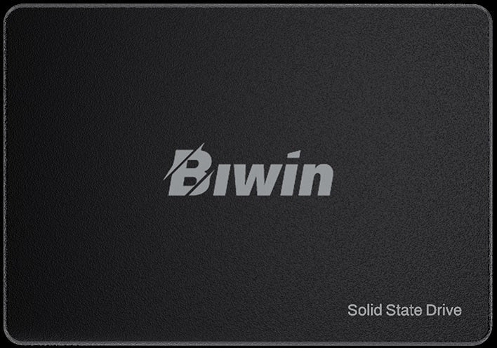 BIWIN M100-256G SATA 2.5 up to 550MB/s & 500MB/s Case pack(Iner /Out) 30/120 Warranty 3-Year 80 TBW