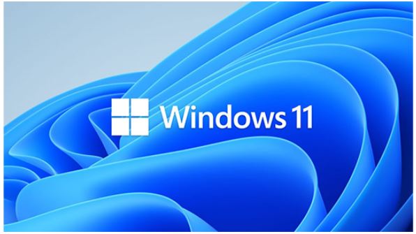 Microsoft BIT Windows 11 Professional for Workstation 64 BIT - By Order SMS-WIN11PROWS64